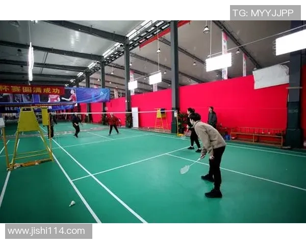 杭州羽毛球队杯赛征程回顾与奋斗精神的深度剖析